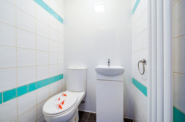 Ashwood Avenue, Rainham, RM13 9AS