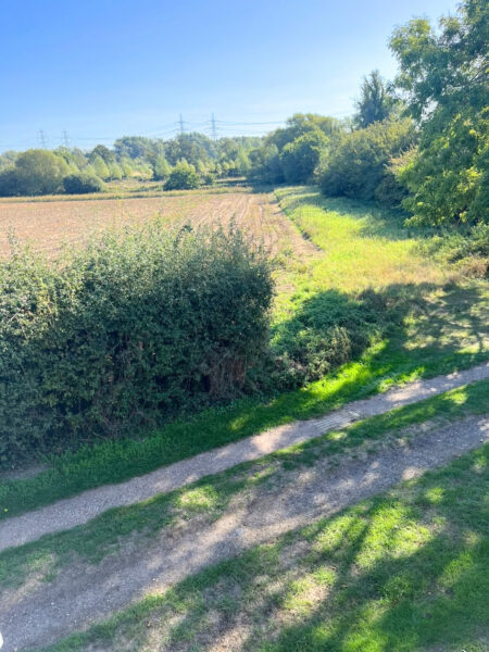 Fowls Watering, Wickham Market, IP13