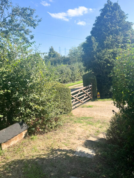 Fowls Watering, Wickham Market, IP13